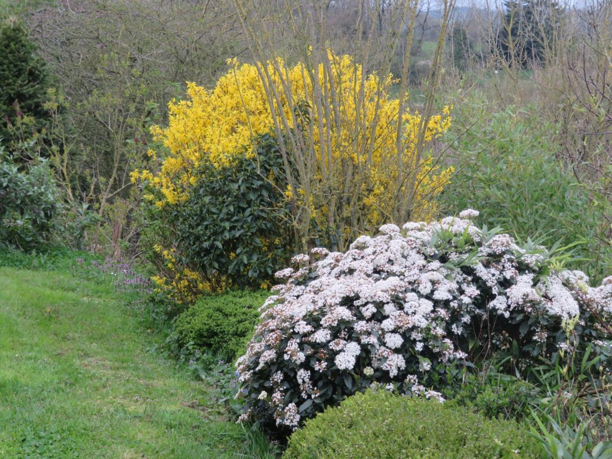 Ecrin De Verdure Sainte-Suzanne  Kültér fotó