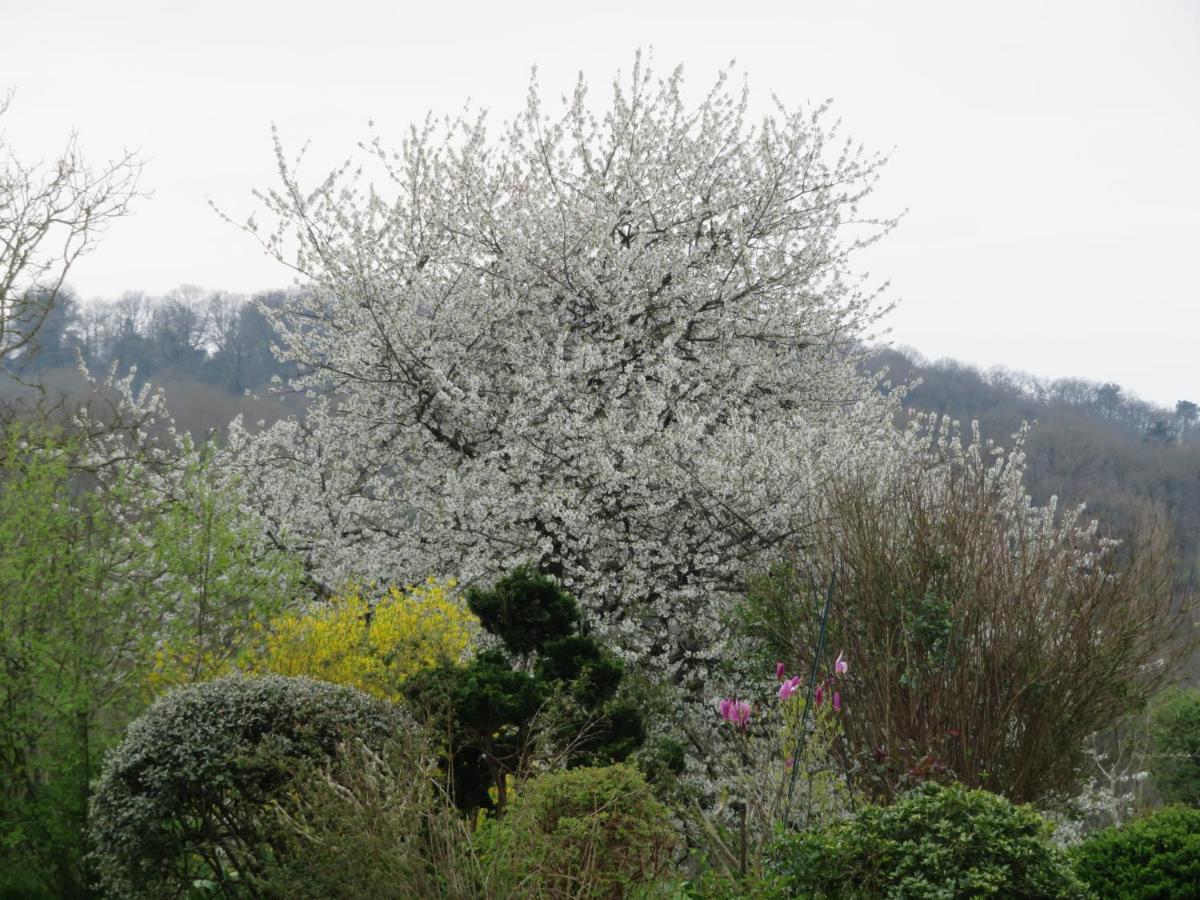 Ecrin De Verdure Sainte-Suzanne  Kültér fotó
