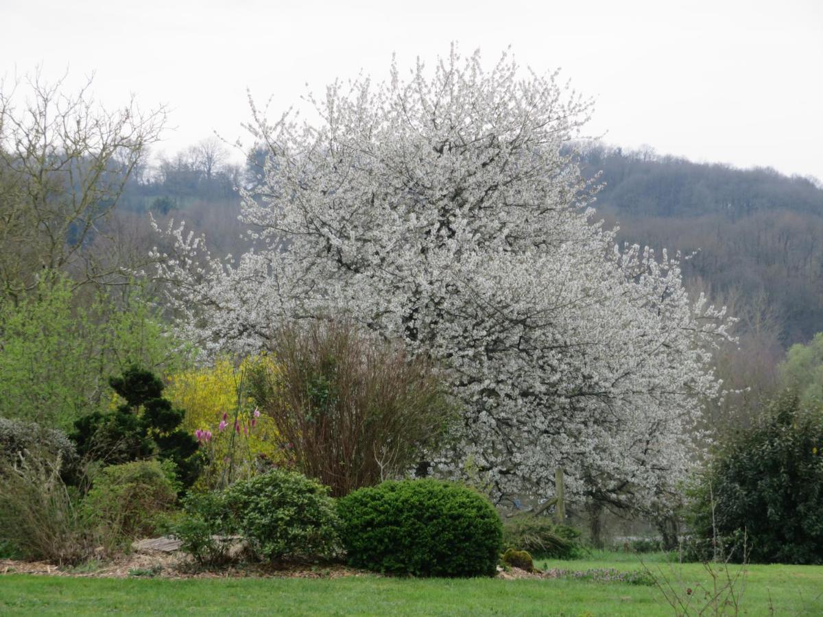 Ecrin De Verdure Sainte-Suzanne  Kültér fotó