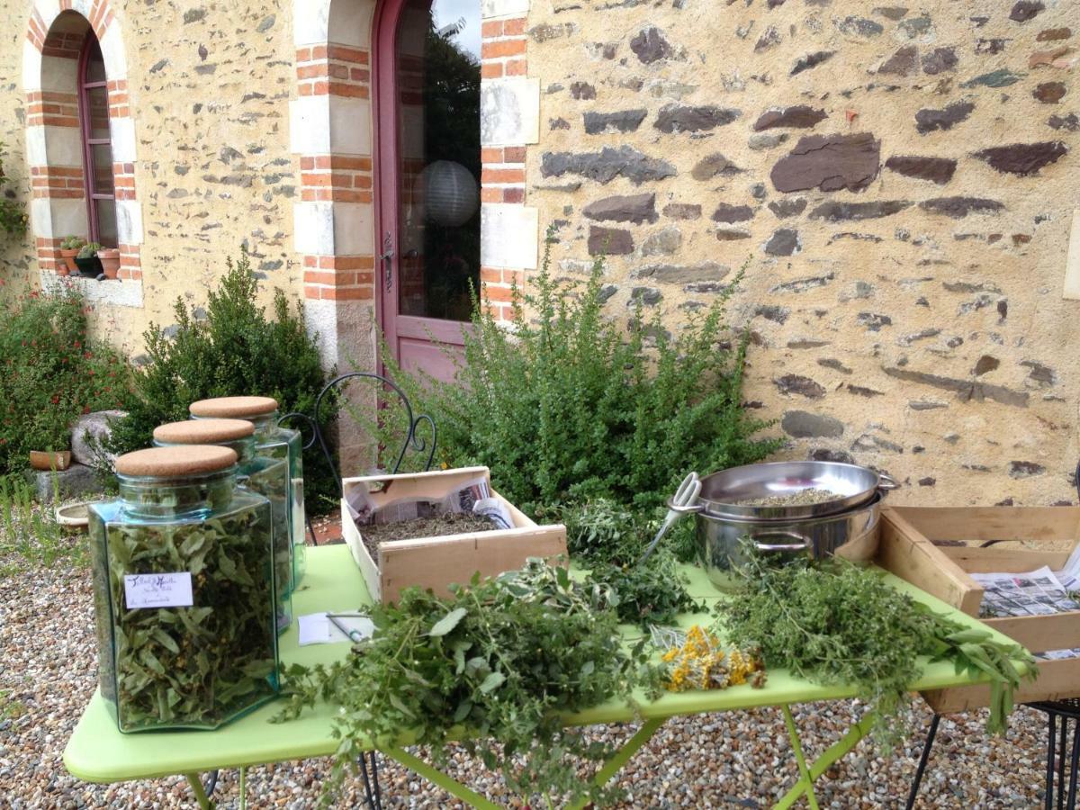 Ecrin De Verdure Sainte-Suzanne  Kültér fotó